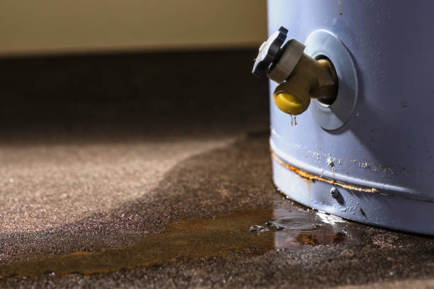 Water damage restoration mold remediation in Memphis, MO