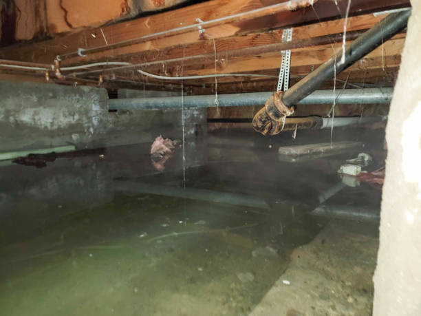 Reliable Memphis, MO Water damage restoration Solutions