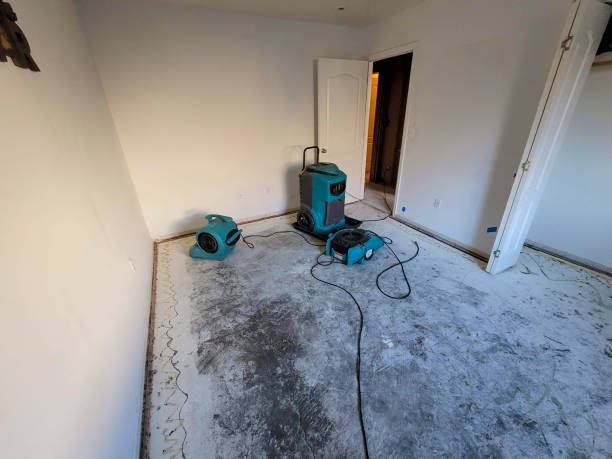 Best Water damage cleanup near me  in Memphis, MO