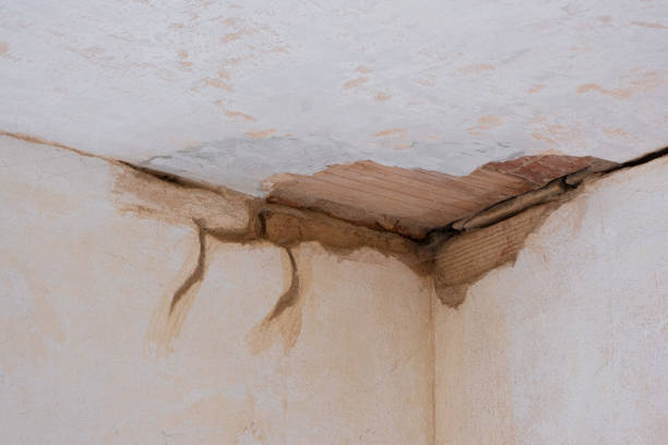 Carpet water damage restoration in Memphis, MO