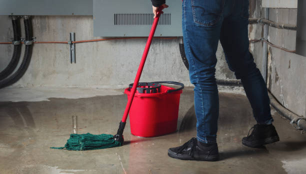 Best Water damage restoration services  in Memphis, MO