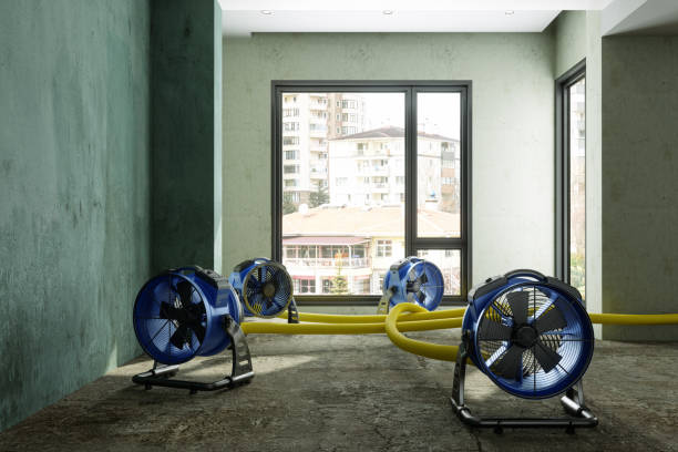 Best Basement water damage restoration  in Memphis, MO