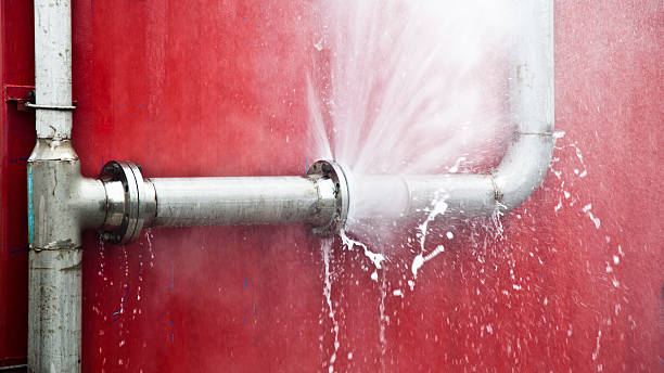 Best Carpet water damage restoration  in Memphis, MO